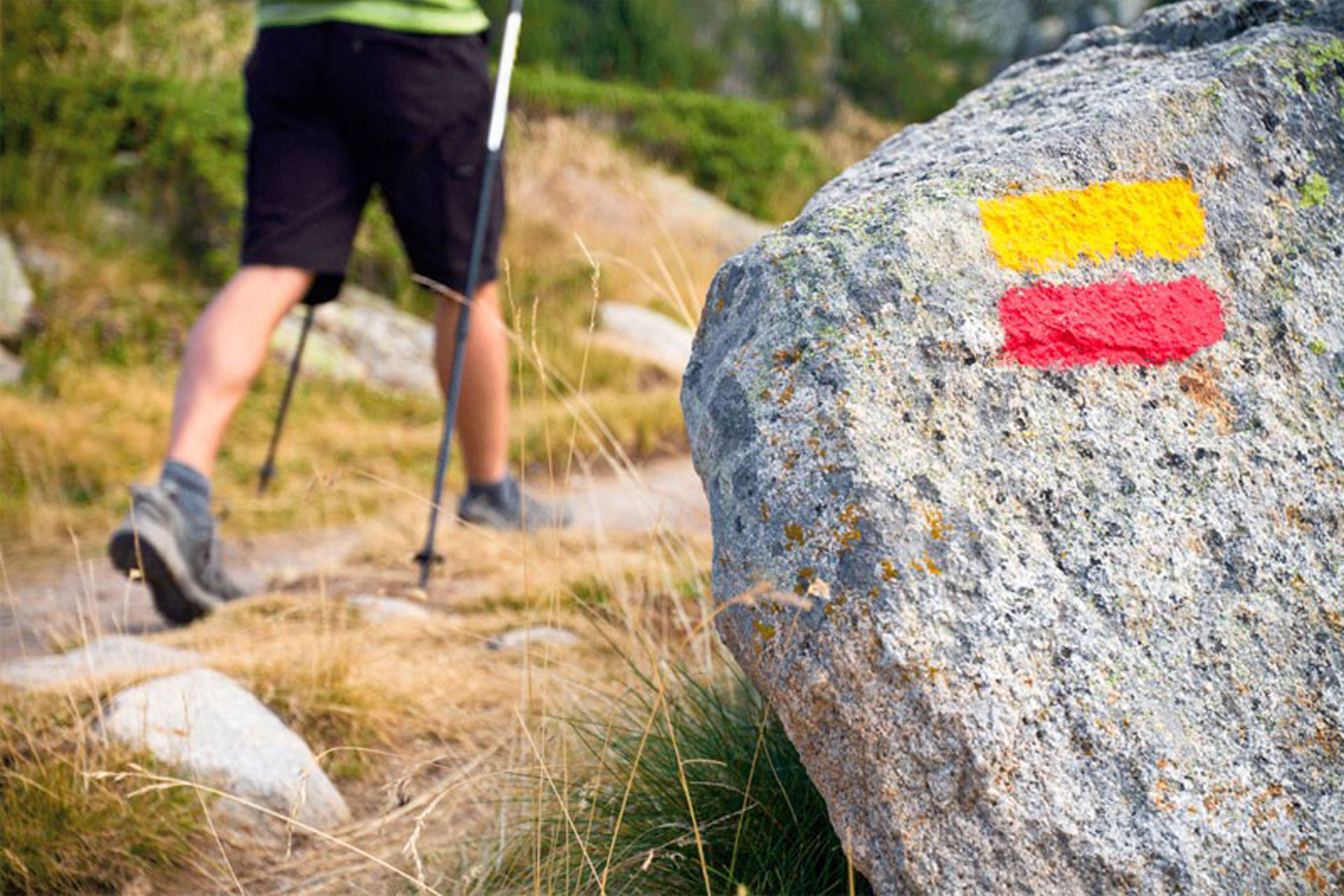 Orientation circuits to Berguedà