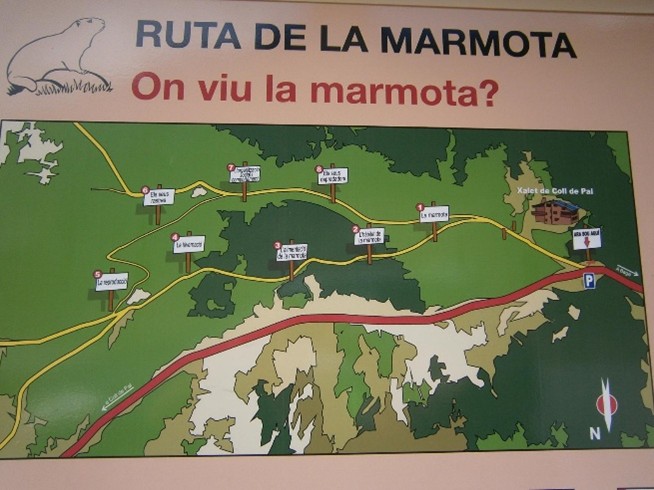 mapa ruta de la marmota