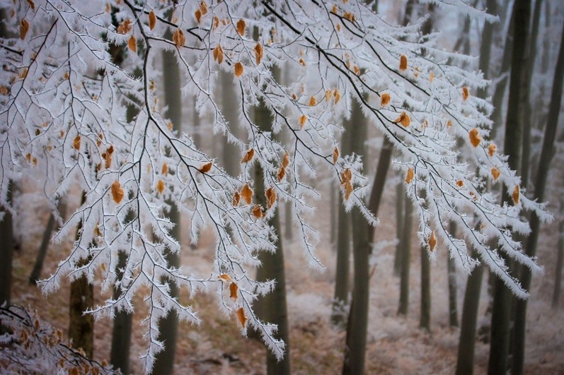 Camping in winter: enjoy the mountains in total comfort