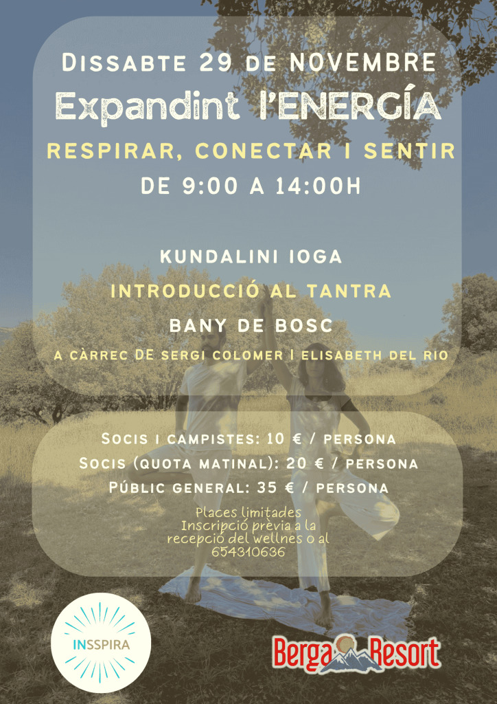 taller insspira novembre
